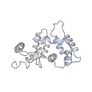 31019_7e8h_F_v1-1
CryoEM structure of human Kv4.2-DPP6S-KChIP1 complex