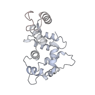 31019_7e8h_G_v1-1
CryoEM structure of human Kv4.2-DPP6S-KChIP1 complex