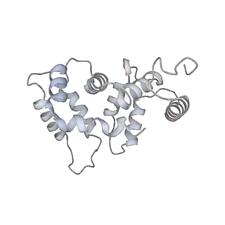 31019_7e8h_H_v1-1
CryoEM structure of human Kv4.2-DPP6S-KChIP1 complex