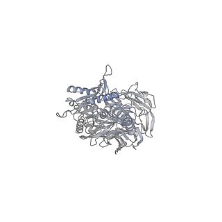 31019_7e8h_J_v1-1
CryoEM structure of human Kv4.2-DPP6S-KChIP1 complex
