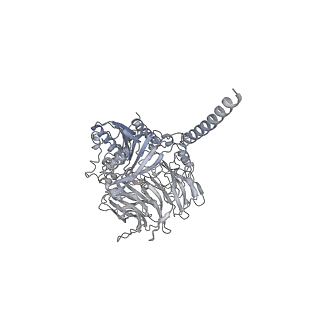 31019_7e8h_K_v1-1
CryoEM structure of human Kv4.2-DPP6S-KChIP1 complex