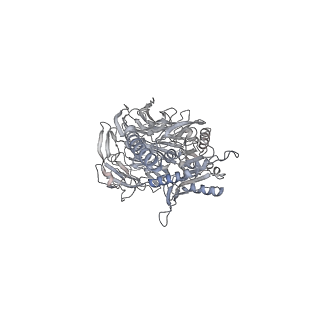 31019_7e8h_L_v1-1
CryoEM structure of human Kv4.2-DPP6S-KChIP1 complex
