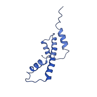 31020_7e8i_E_v1-1
Structural insight into BRCA1-BARD1 complex recruitment to damaged chromatin
