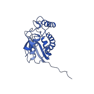 31022_7e8t_C_v1-1
Monomer of Ypt32-TRAPPII