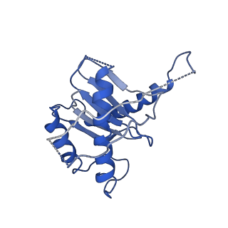 31022_7e8t_E_v1-1
Monomer of Ypt32-TRAPPII