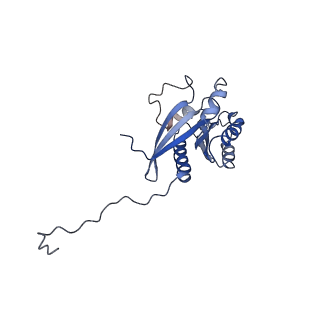 31022_7e8t_L_v1-1
Monomer of Ypt32-TRAPPII