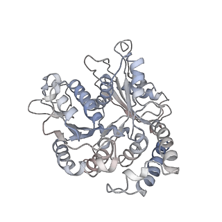 9004_6e88_A_v1-2
Cryo-EM structure of C. elegans GDP-microtubule