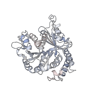 9004_6e88_B_v1-2
Cryo-EM structure of C. elegans GDP-microtubule