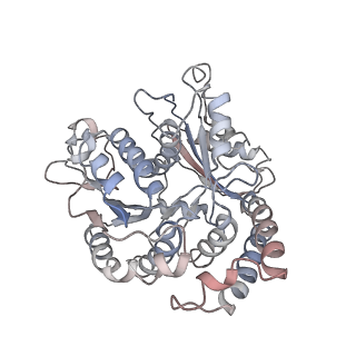 9004_6e88_C_v1-2
Cryo-EM structure of C. elegans GDP-microtubule