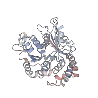 9004_6e88_C_v1-3
Cryo-EM structure of C. elegans GDP-microtubule