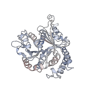 9004_6e88_D_v1-2
Cryo-EM structure of C. elegans GDP-microtubule