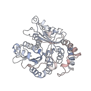 9004_6e88_H_v1-2
Cryo-EM structure of C. elegans GDP-microtubule