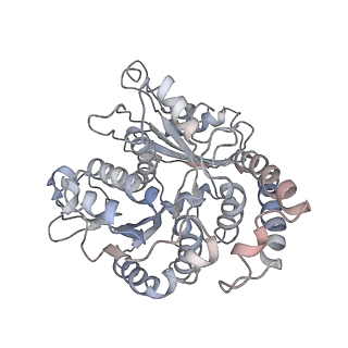 9004_6e88_H_v1-3
Cryo-EM structure of C. elegans GDP-microtubule