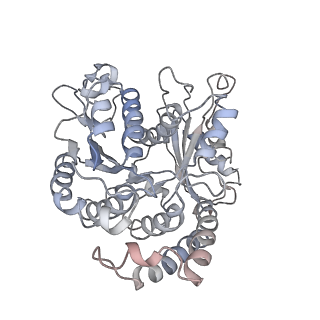 9004_6e88_I_v1-2
Cryo-EM structure of C. elegans GDP-microtubule