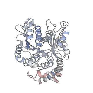 9004_6e88_I_v1-3
Cryo-EM structure of C. elegans GDP-microtubule