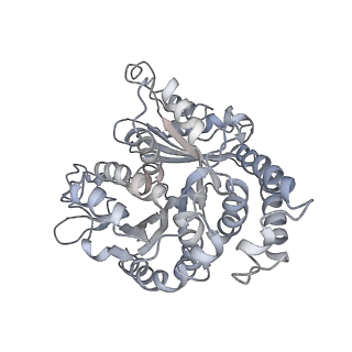 9004_6e88_J_v1-2
Cryo-EM structure of C. elegans GDP-microtubule