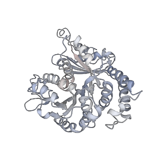 9004_6e88_J_v1-3
Cryo-EM structure of C. elegans GDP-microtubule