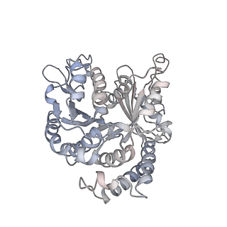 9004_6e88_K_v1-2
Cryo-EM structure of C. elegans GDP-microtubule
