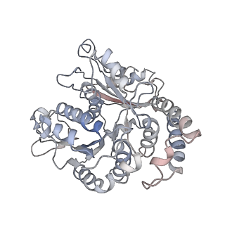 9004_6e88_L_v1-2
Cryo-EM structure of C. elegans GDP-microtubule