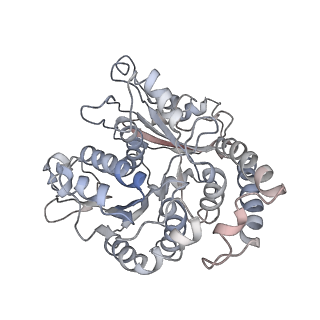 9004_6e88_L_v1-3
Cryo-EM structure of C. elegans GDP-microtubule