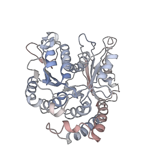 9004_6e88_M_v1-2
Cryo-EM structure of C. elegans GDP-microtubule