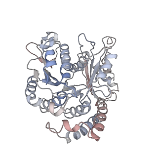 9004_6e88_M_v1-3
Cryo-EM structure of C. elegans GDP-microtubule