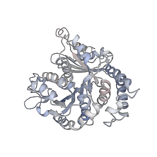 9004_6e88_N_v1-2
Cryo-EM structure of C. elegans GDP-microtubule