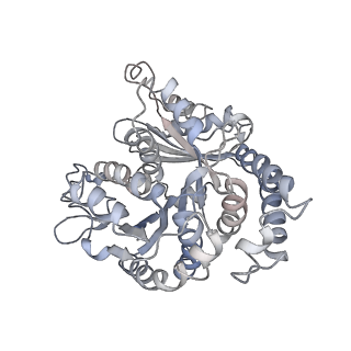 9004_6e88_N_v1-3
Cryo-EM structure of C. elegans GDP-microtubule