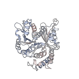 9004_6e88_O_v1-3
Cryo-EM structure of C. elegans GDP-microtubule