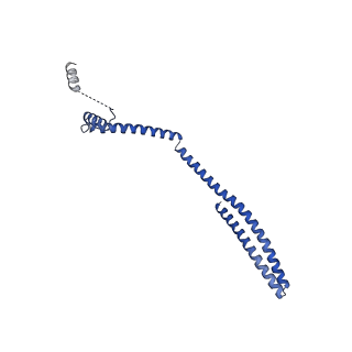 9005_6e8g_AB_v1-3
CryoEM reconstruction of IST1-CHMP1B copolymer filament bound to ssDNA at 2.9 Angstrom resolution