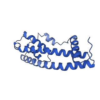 9005_6e8g_A_v1-3
CryoEM reconstruction of IST1-CHMP1B copolymer filament bound to ssDNA at 2.9 Angstrom resolution