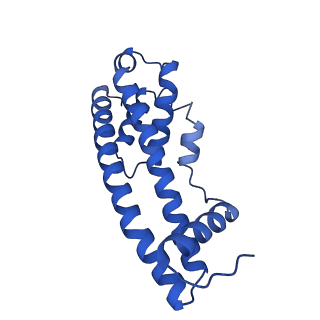 9005_6e8g_BA_v1-2
CryoEM reconstruction of IST1-CHMP1B copolymer filament bound to ssDNA at 2.9 Angstrom resolution