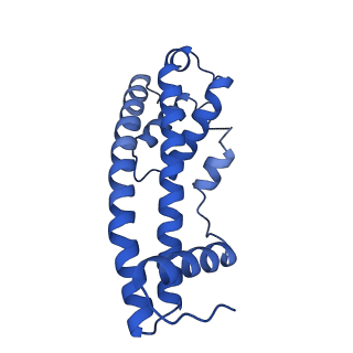 9005_6e8g_BB_v1-2
CryoEM reconstruction of IST1-CHMP1B copolymer filament bound to ssDNA at 2.9 Angstrom resolution