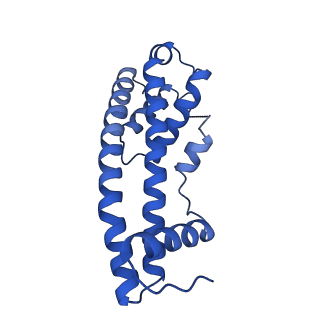 9005_6e8g_BB_v1-3
CryoEM reconstruction of IST1-CHMP1B copolymer filament bound to ssDNA at 2.9 Angstrom resolution