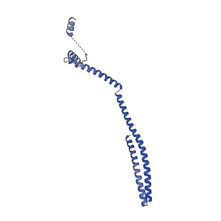 9005_6e8g_B_v1-3
CryoEM reconstruction of IST1-CHMP1B copolymer filament bound to ssDNA at 2.9 Angstrom resolution