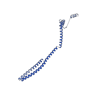 9005_6e8g_CA_v1-3
CryoEM reconstruction of IST1-CHMP1B copolymer filament bound to ssDNA at 2.9 Angstrom resolution