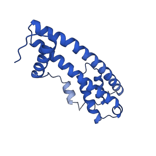 9005_6e8g_C_v1-2
CryoEM reconstruction of IST1-CHMP1B copolymer filament bound to ssDNA at 2.9 Angstrom resolution