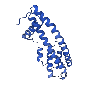 9005_6e8g_DA_v1-2
CryoEM reconstruction of IST1-CHMP1B copolymer filament bound to ssDNA at 2.9 Angstrom resolution