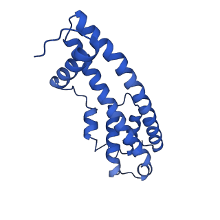 9005_6e8g_DA_v1-3
CryoEM reconstruction of IST1-CHMP1B copolymer filament bound to ssDNA at 2.9 Angstrom resolution