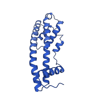 9005_6e8g_DB_v1-2
CryoEM reconstruction of IST1-CHMP1B copolymer filament bound to ssDNA at 2.9 Angstrom resolution