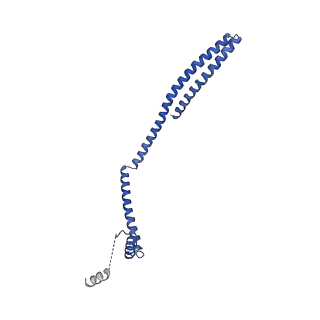 9005_6e8g_EA_v1-3
CryoEM reconstruction of IST1-CHMP1B copolymer filament bound to ssDNA at 2.9 Angstrom resolution