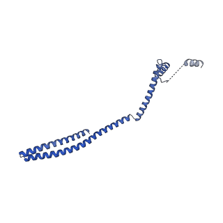 9005_6e8g_EB_v1-3
CryoEM reconstruction of IST1-CHMP1B copolymer filament bound to ssDNA at 2.9 Angstrom resolution