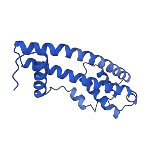 9005_6e8g_E_v1-3
CryoEM reconstruction of IST1-CHMP1B copolymer filament bound to ssDNA at 2.9 Angstrom resolution