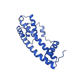 9005_6e8g_FA_v1-2
CryoEM reconstruction of IST1-CHMP1B copolymer filament bound to ssDNA at 2.9 Angstrom resolution