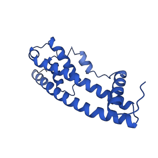 9005_6e8g_FB_v1-2
CryoEM reconstruction of IST1-CHMP1B copolymer filament bound to ssDNA at 2.9 Angstrom resolution