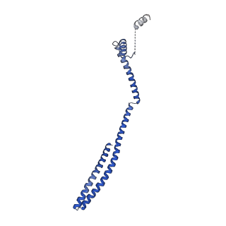 9005_6e8g_GA_v1-3
CryoEM reconstruction of IST1-CHMP1B copolymer filament bound to ssDNA at 2.9 Angstrom resolution