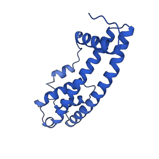 9005_6e8g_G_v1-2
CryoEM reconstruction of IST1-CHMP1B copolymer filament bound to ssDNA at 2.9 Angstrom resolution