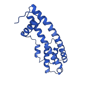 9005_6e8g_HA_v1-2
CryoEM reconstruction of IST1-CHMP1B copolymer filament bound to ssDNA at 2.9 Angstrom resolution