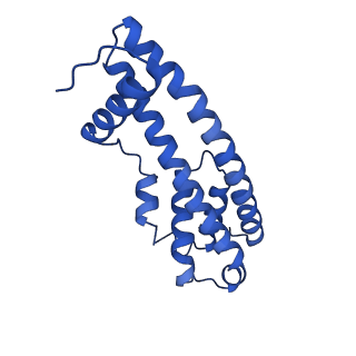 9005_6e8g_HA_v1-3
CryoEM reconstruction of IST1-CHMP1B copolymer filament bound to ssDNA at 2.9 Angstrom resolution