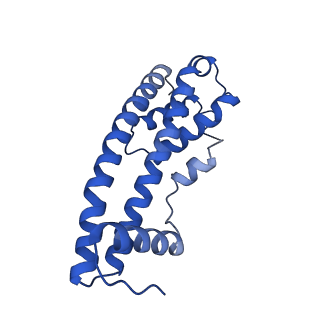 9005_6e8g_HB_v1-2
CryoEM reconstruction of IST1-CHMP1B copolymer filament bound to ssDNA at 2.9 Angstrom resolution